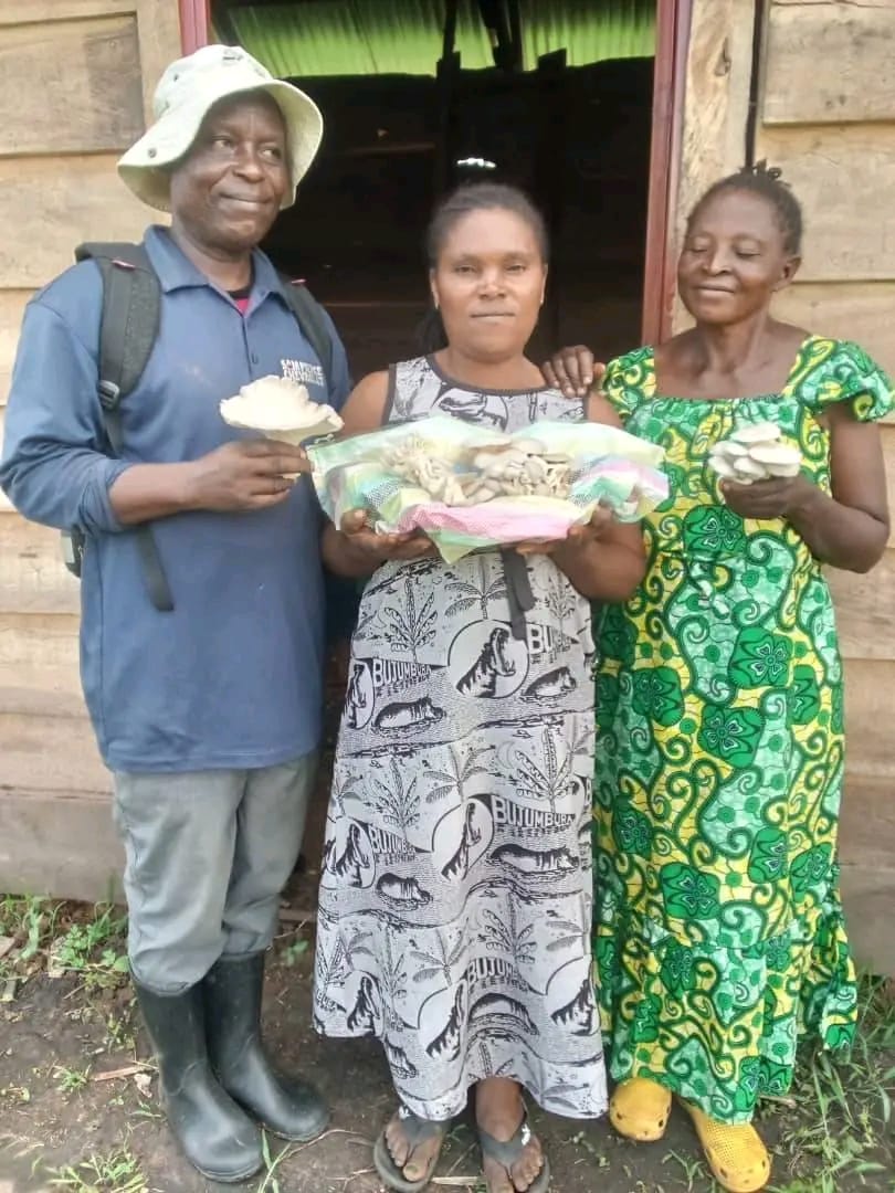 Nord-Kivu : autonomisation des femmes grâce à la production de champignons pleurotes