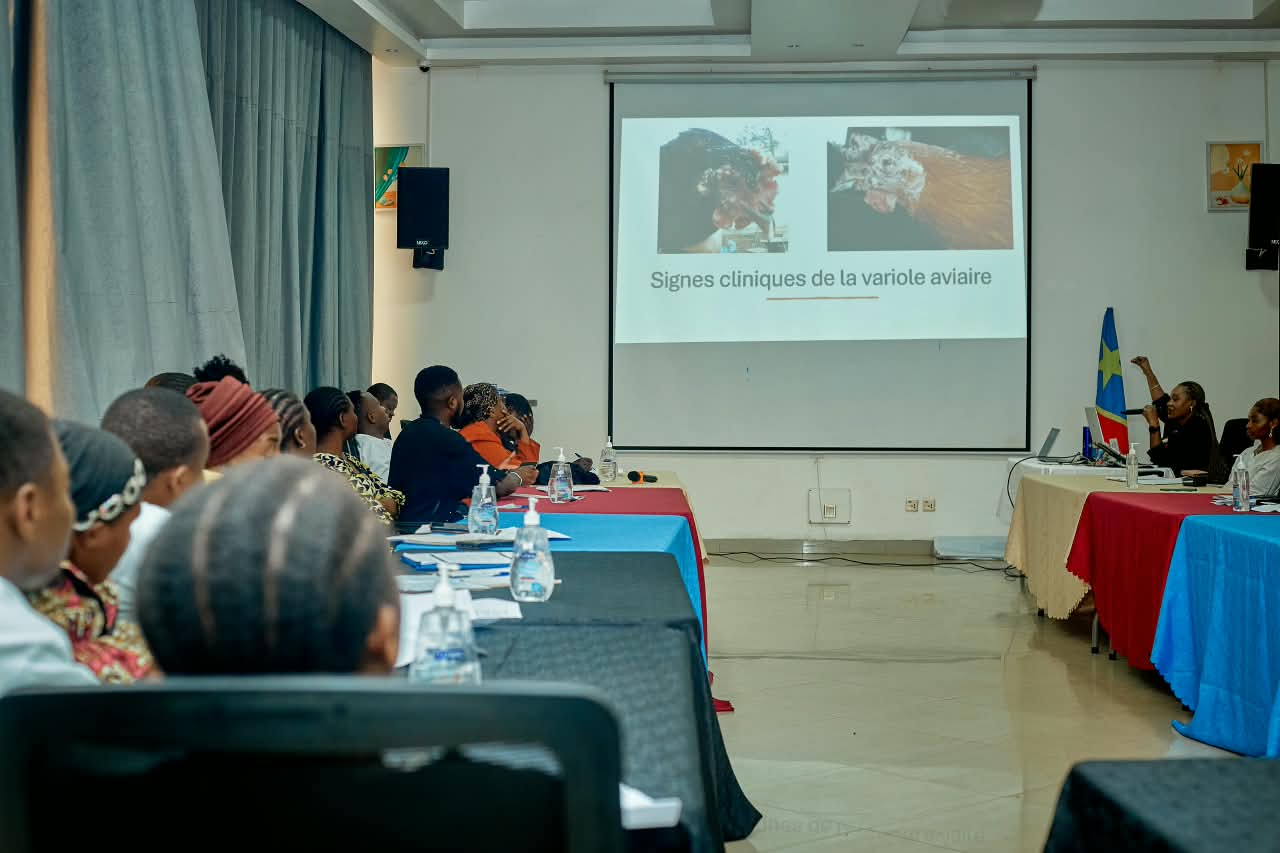 Nord-Kivu : la Coopérative centrale du Nord-Kivu participe à une formation sur la surveillance sanitaire et l’élevage avicole